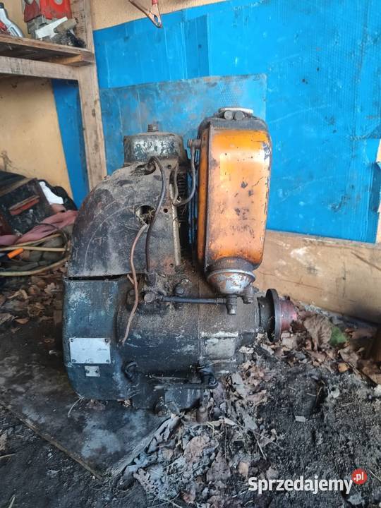 Silnik S10 Łużna sprzedam
