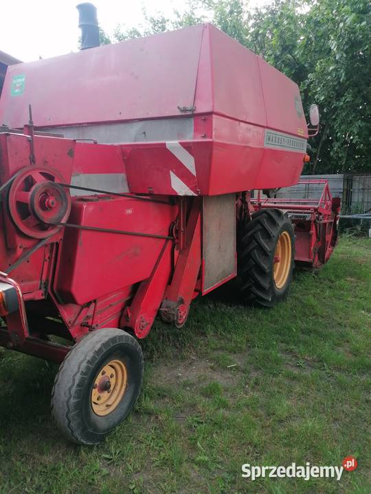 Kombajn MF 186 z sieczkarnią Massey Ferguson Błogoszów