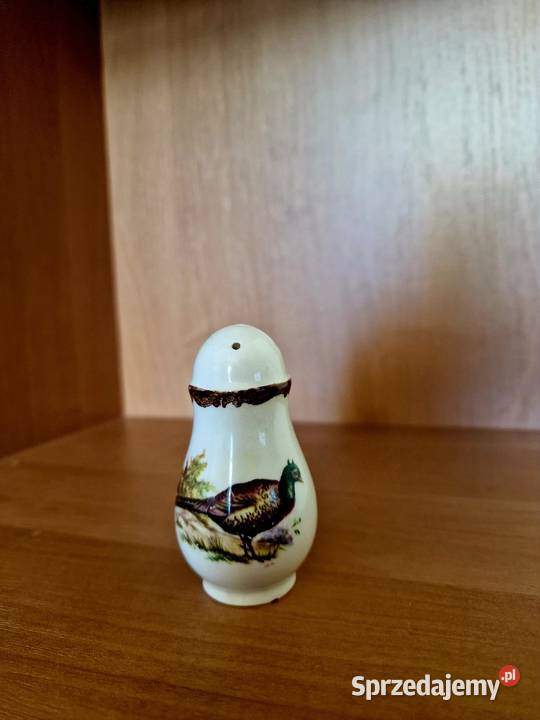 Solniczka dolnośląskie Polanica-Zdrój