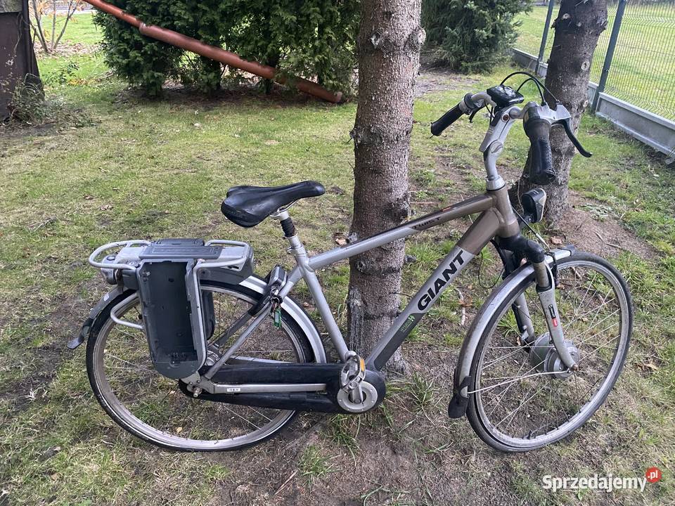 Pakiet rowerów z Holandii