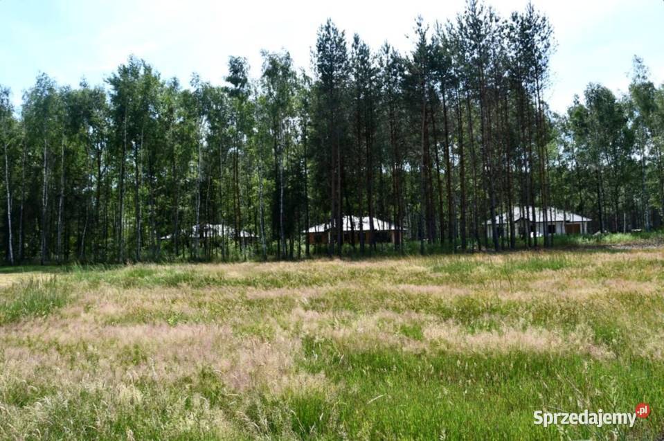 Działki 10a pod lasem Widełka