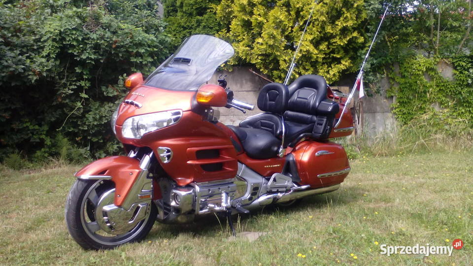 honda goldwing Rokietnica