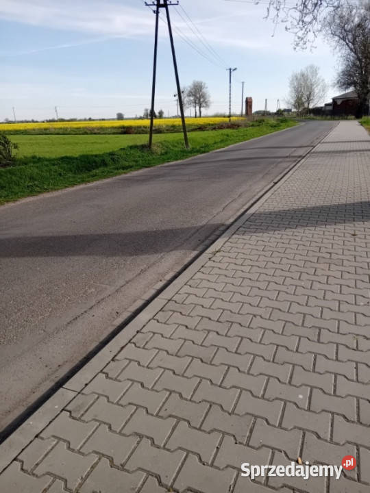 Działka z warunkami zabudowy Orłowo 1305m2 Ludomy sprzedam