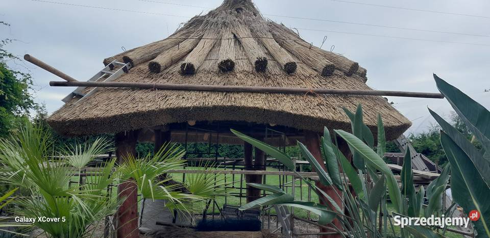 StrzechaAltany Trzebnica