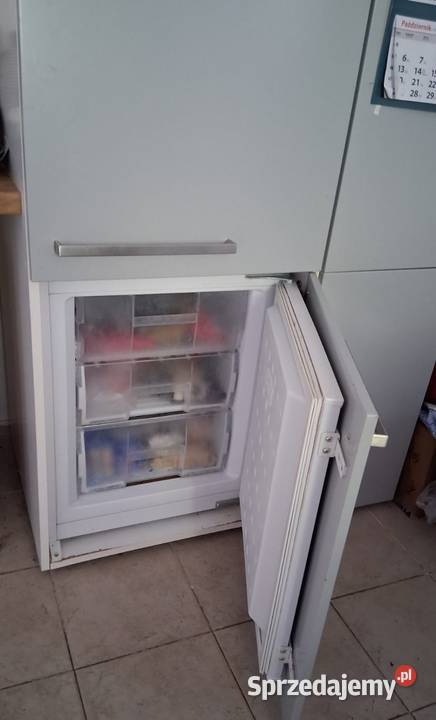 Lodówka w zabudowie szafki kuchennej Szafki Grodzisk Mazowiecki