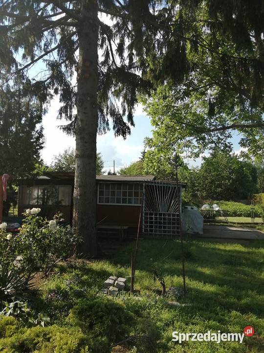 Działka Wisłą w Chełmnie woda Chełmno