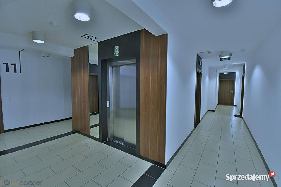 Mieszkanie do wynajęcia Wrocław 44m2 2pok Liczba pokoi 2 Nieruchomości