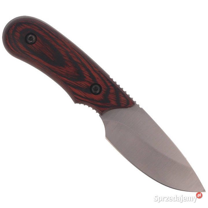 Nóż Muela Full Tang Pakkawood Satin X50CrMoV15 mazowieckie Warszawa