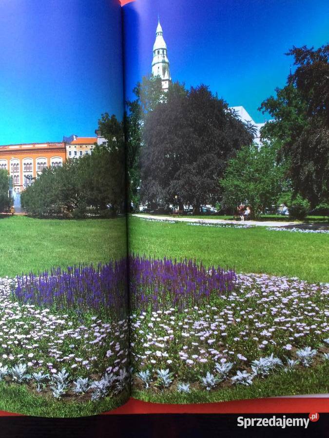 2221 Szczecin W Kwiatach