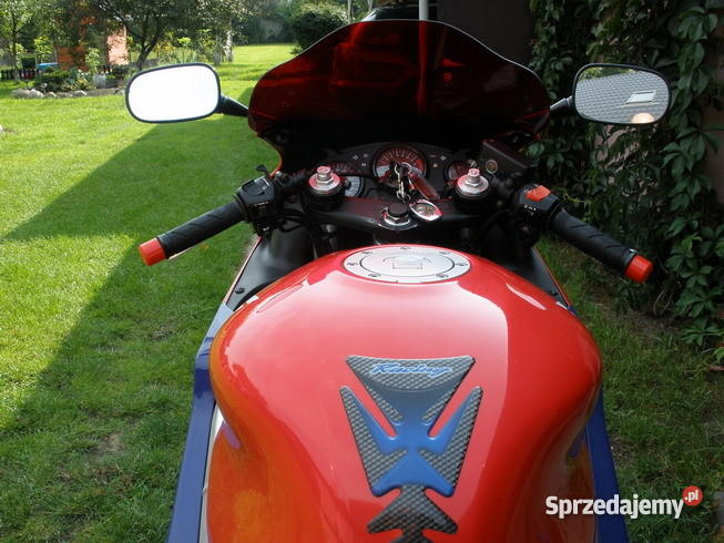 honda cbr 600 F4 99 Niedźwiedź