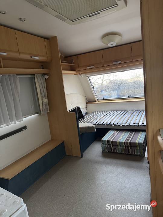 Beyerland wielkopolskie Lipe