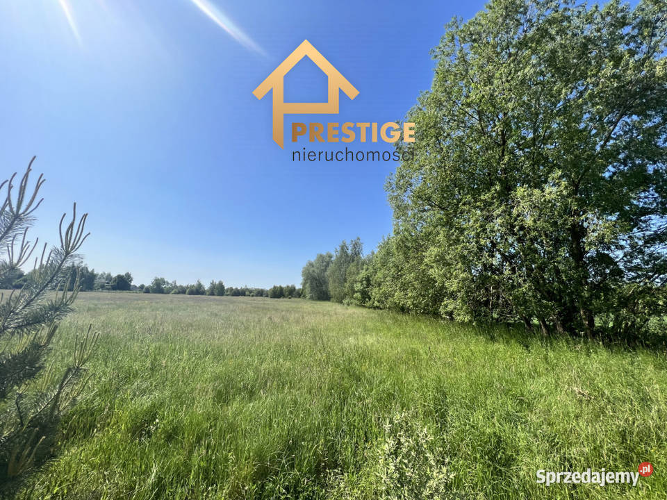 Działki budowlane w Białej Panieńskiej gmRychwał Biała Panieńska