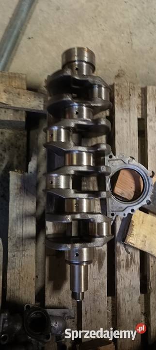 Silnik nissan cabstar atleon dostawcze śląskie Imielin sprzedam