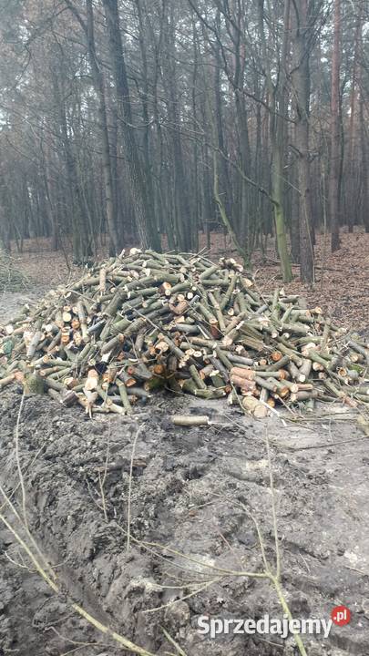 Drzewo opałowe mieszanka Łabunie