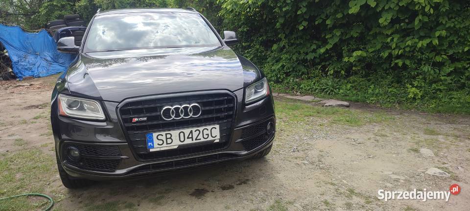Audi SQ5 30 tfsi Quattro 354 konie Premium Plus Bielsko-Biała