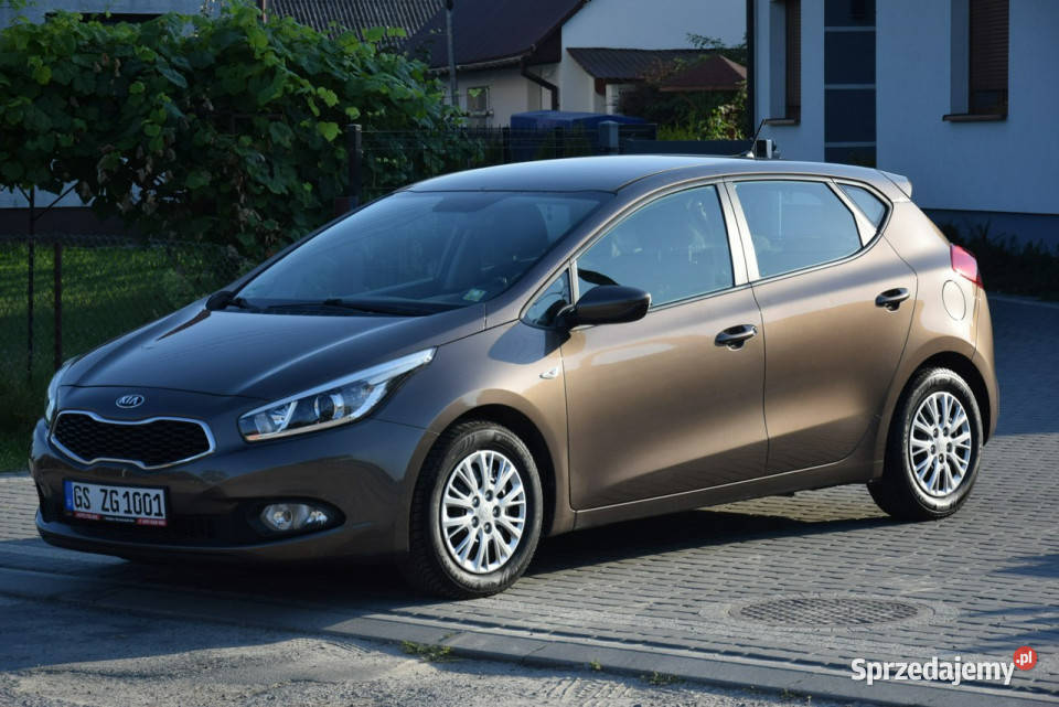 Kia Ceed 14B Klima 115 2013r Sprowadzony serwisowany w ASO Majdan Sieniawski