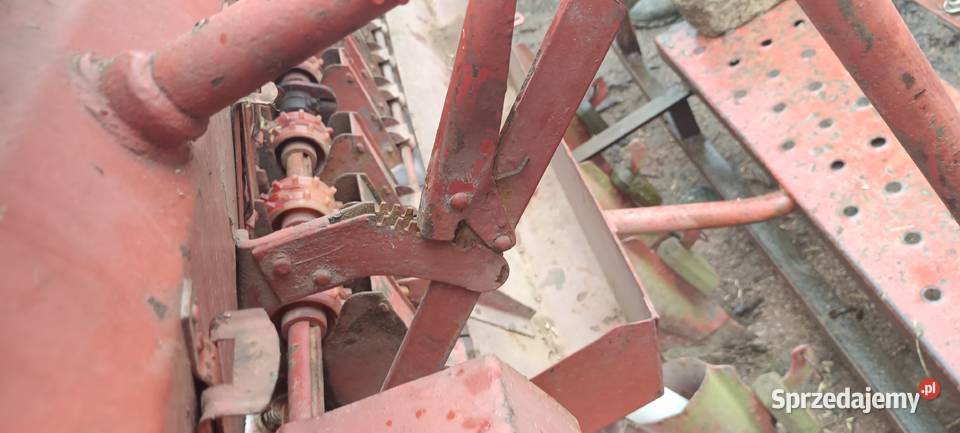 Siewnik poznaniak 25m małopolskie Skawina