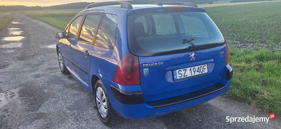 Peugeot 307 20 hdi sw ZAMIANA opolskie Góra Świętej Anny