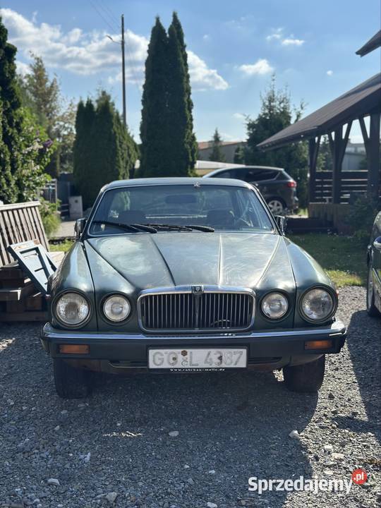 Jaguar xj3 1984 podkarpackie Jarosław sprzedam