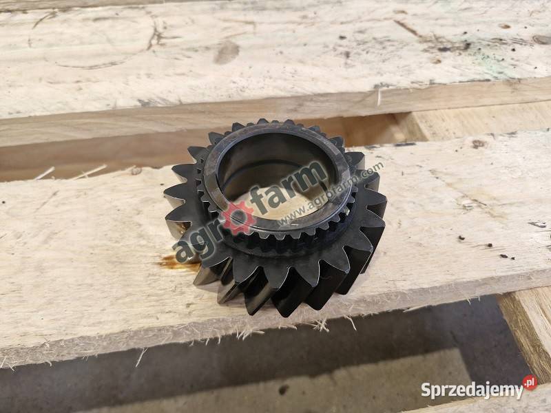 Koło zębate Massey Ferguson 6235 6260 6120 6180 Byków