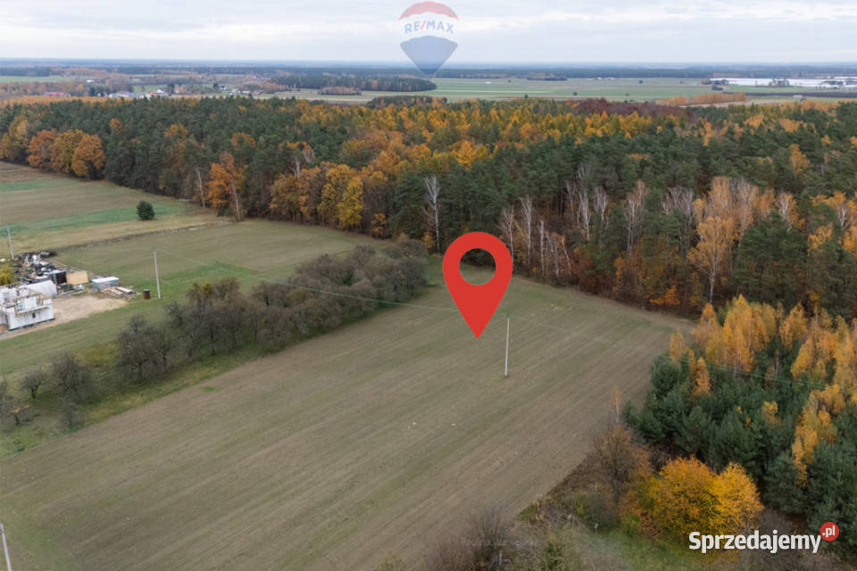 Działka pod lasem Załuski 47m