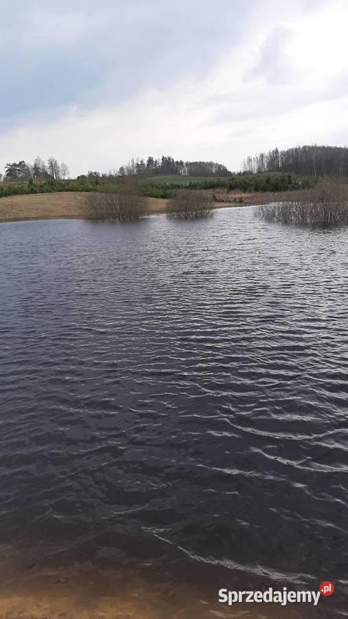 Gospodarstwo rybackie Łap i wpusć Zagony sprzedam