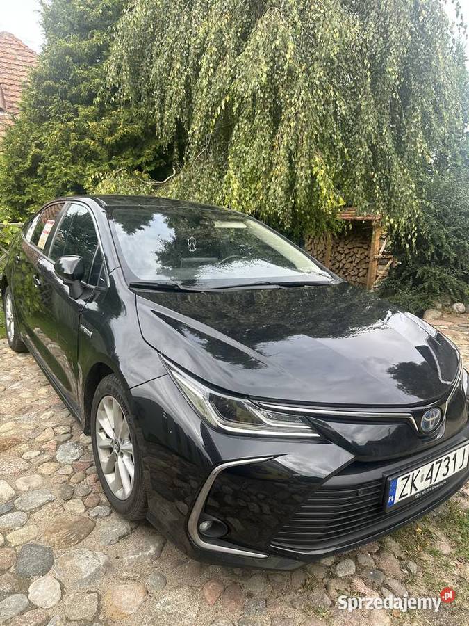 Toyta Corolla Cesja