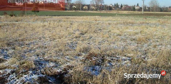 Działka rolnorekreacyjna 12a w Boguchwale Boguchwała