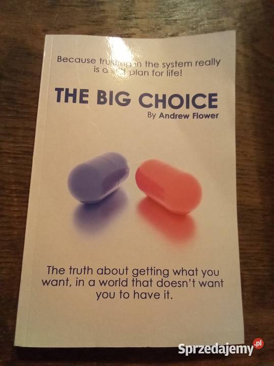 The big choice the truth about getting what you