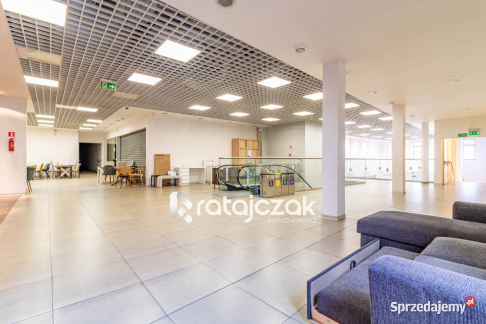 Lokal Malbork Aleja Rodła 7145m2 7145m2