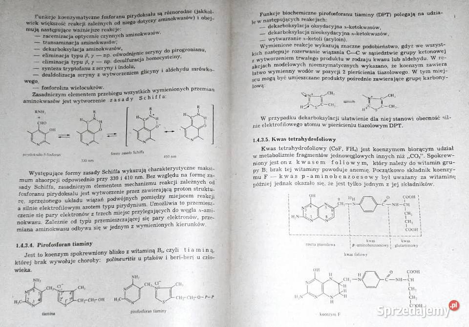 Biochemia roślin Tom 1 Jerzy Kączkowski sprzedam