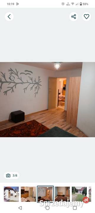 Mieszkanie wynajmę duża posesja sprzedam