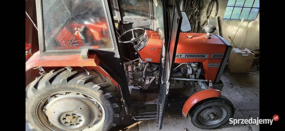 Massey Ferguson 255 opolskie