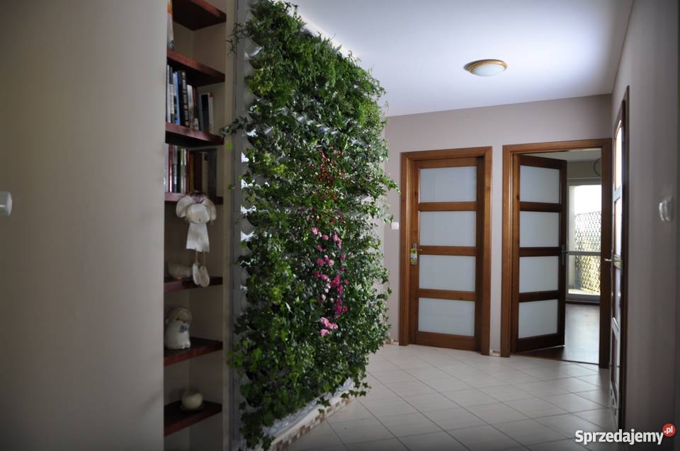 Projektowanie ogrodów ogrody wertykalne Jaworzno