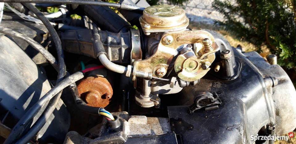 Silnik 139qmb Grybów