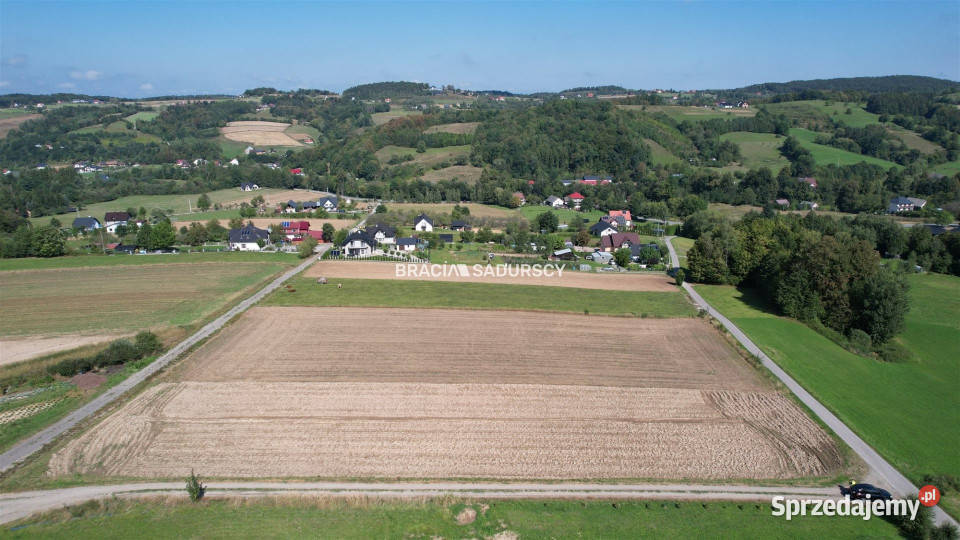 Do sprzedaży grunt Szyk 6023m2