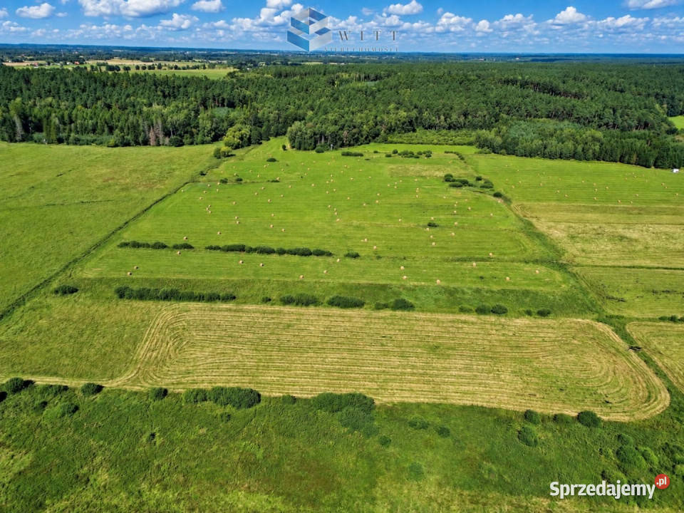 Działka Liwa 31400m2 3zł/m2