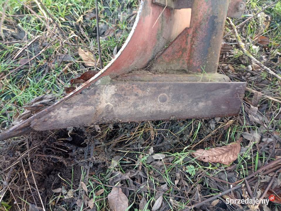 pług dwuskibowy Pługi Iwonie sprzedam