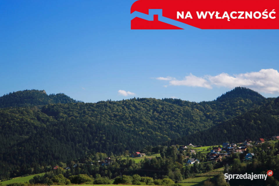 Działa w Grywałdzie z możliwością uzyskania WZ Grywałd