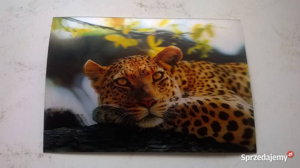 pocztówki widokówki trójwymiarowe zwierzęta Pocztówki i karty telefoniczne Gliwice