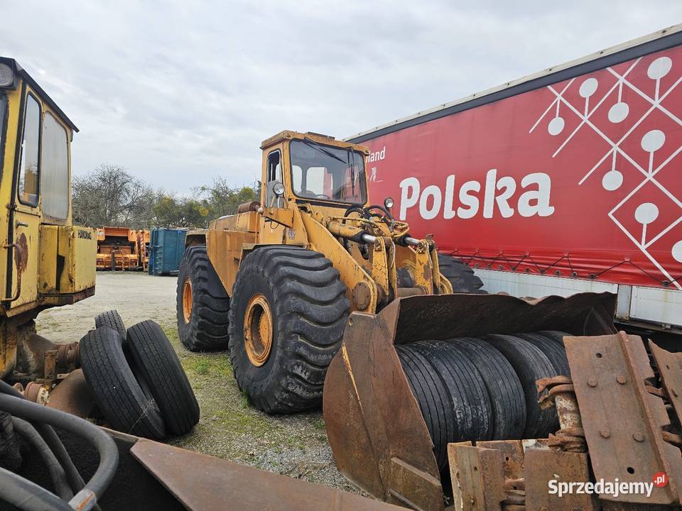 Ładiwarka kołowa hanomag 66c Łagów sprzedam