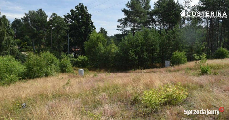 Działka do sprzedania 1147m2 Dziemiany