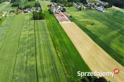 Teren inwestycyjny 9538 m2 z WZ Borki Jędrzejów budowlana