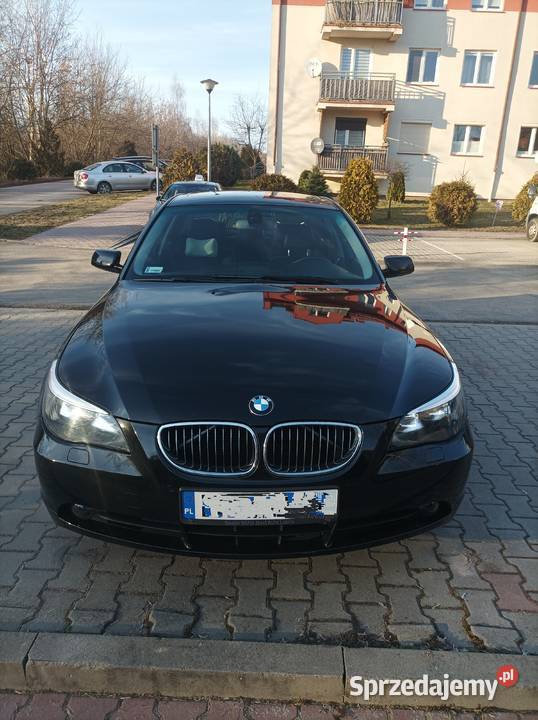 Czarnulka z chromem małopolskie