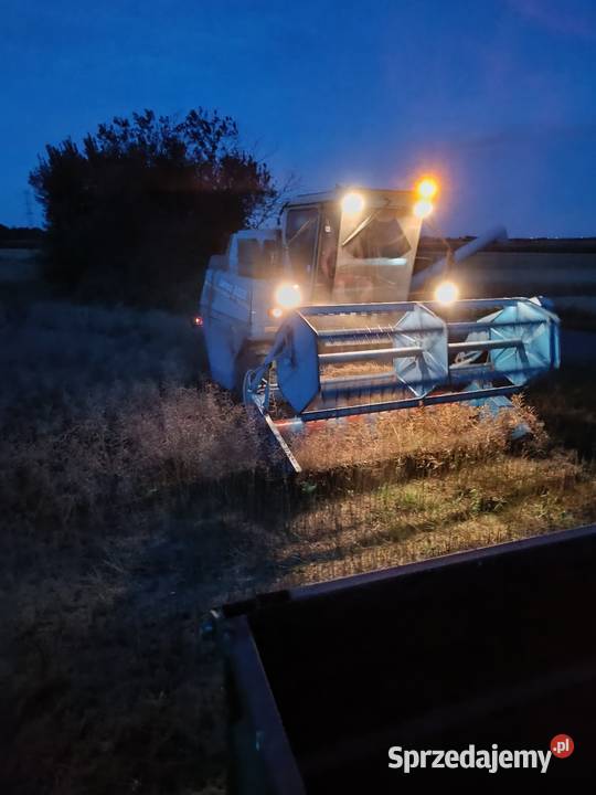 Bizon sampo sprawny Gliwice