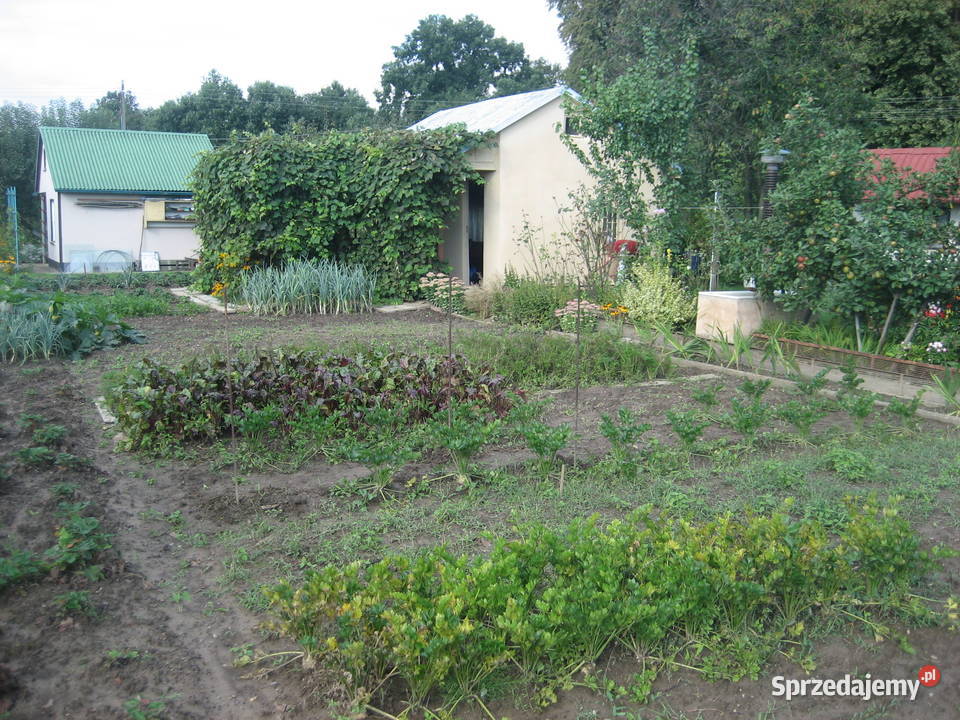 OKAZJA Ogródek działkowy Sprzedaż Grunty i działki opolskie Nysa