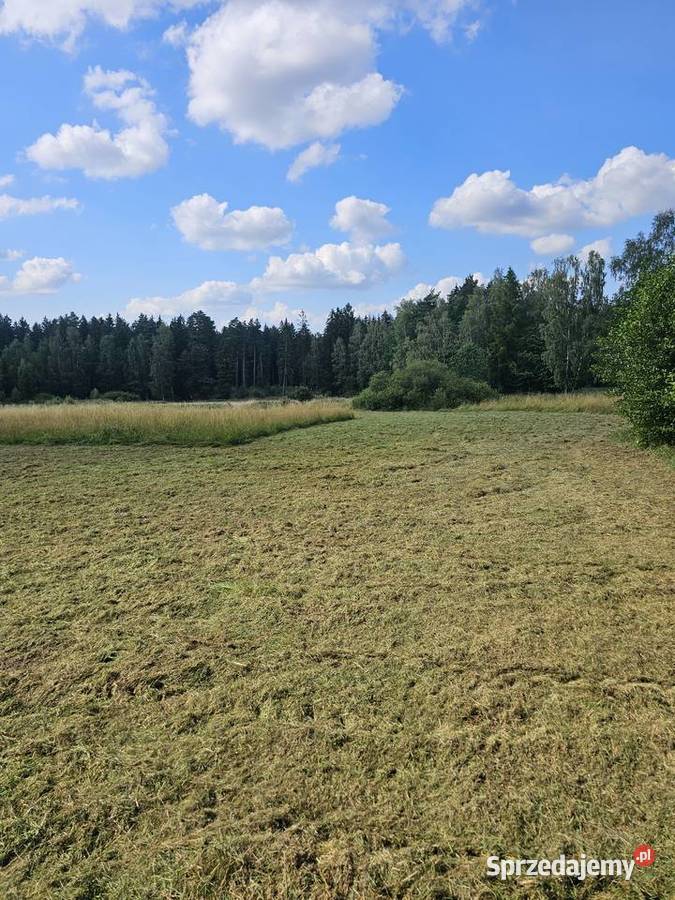 Mulczowanie Proszowa