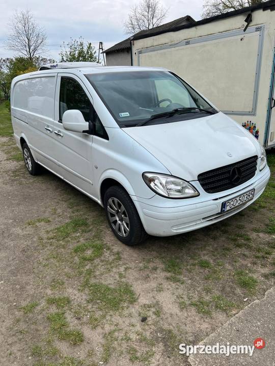 Mercedes Vito Chłodnia 300000km Jasień