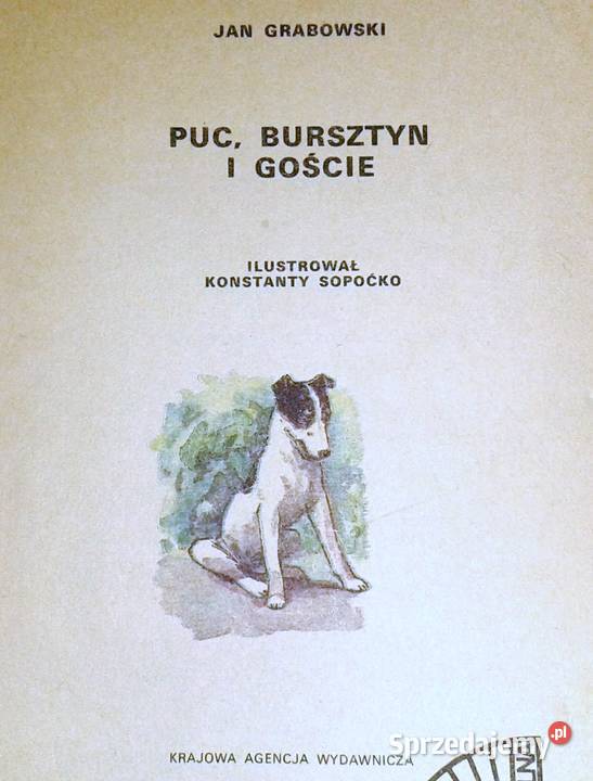 Puc Bursztyn I Goście Charakterystyka Psów Puc, Bursztyn i goście - Jan Grabowski Chełm - Sprzedajemy.pl