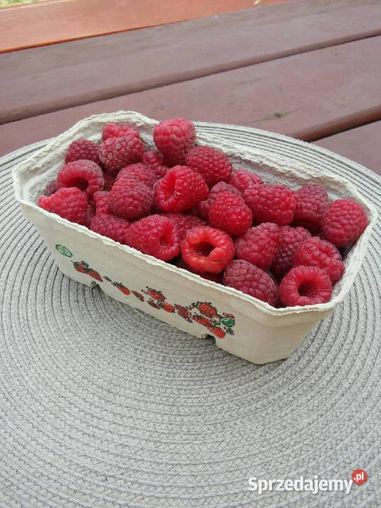 Maliny sprzedam Pozostałe Aleksandria